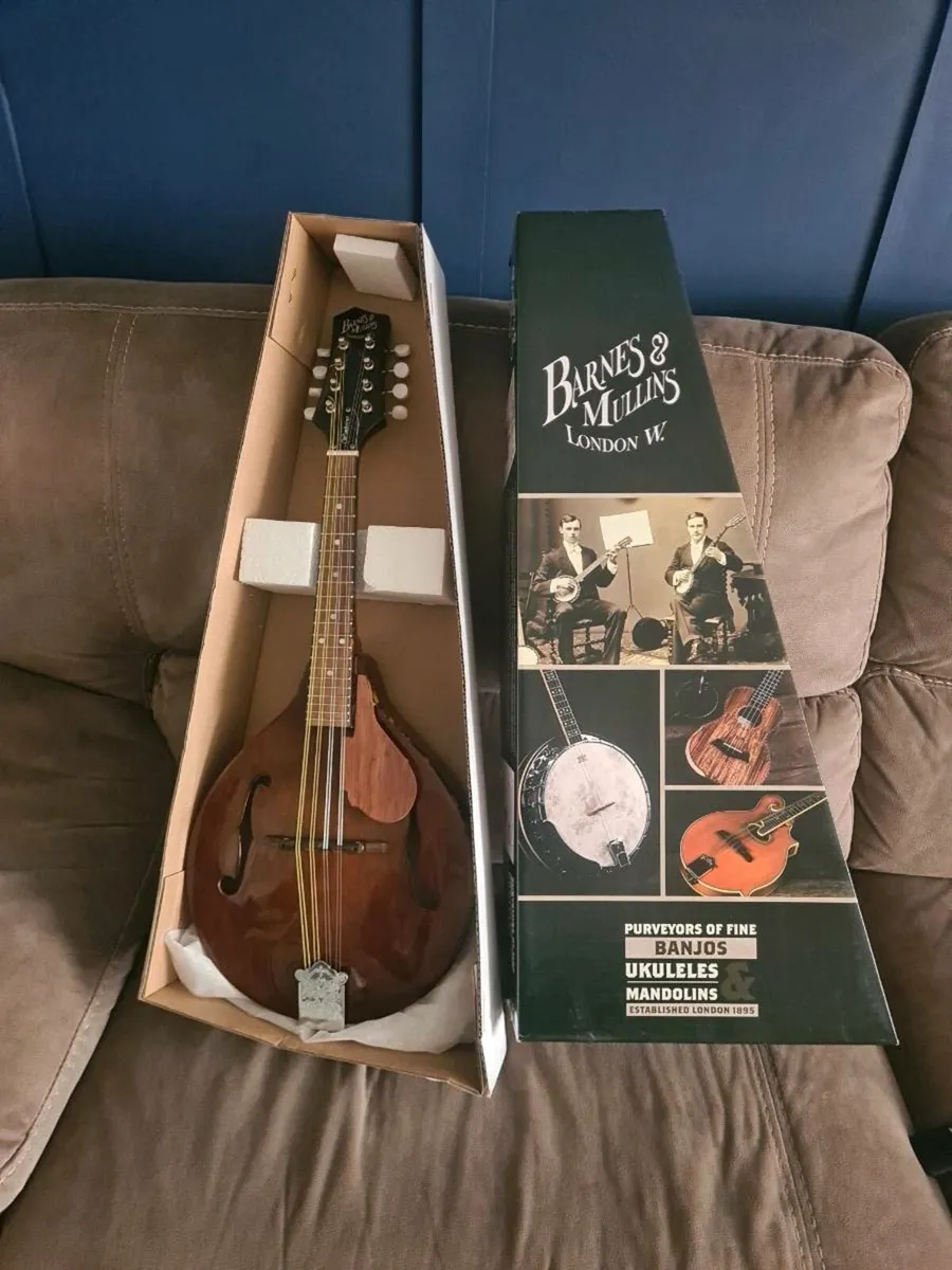 Mandolin - Image 1