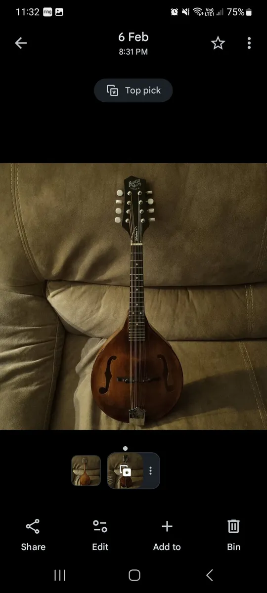 Mandolin - Image 3
