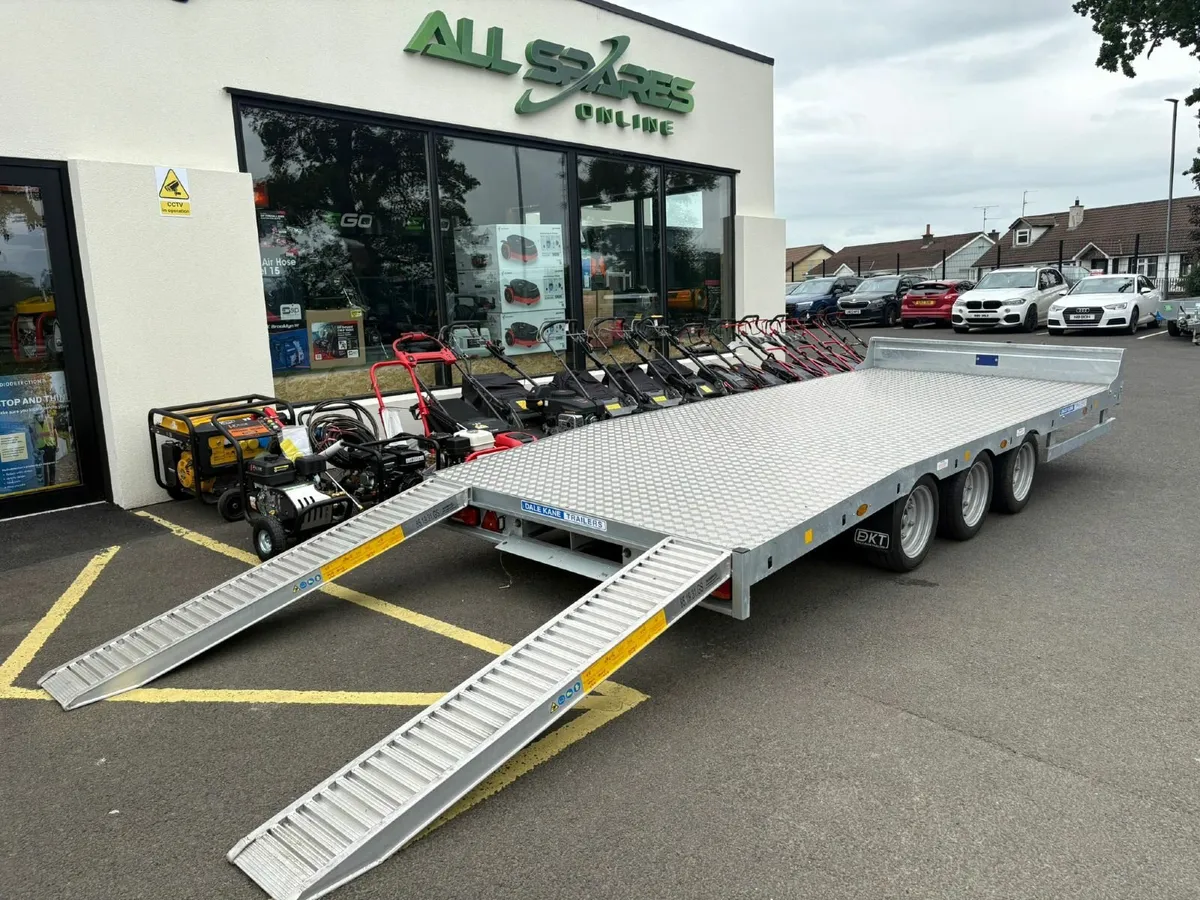 DALE KANE LOW LOADER - Image 4