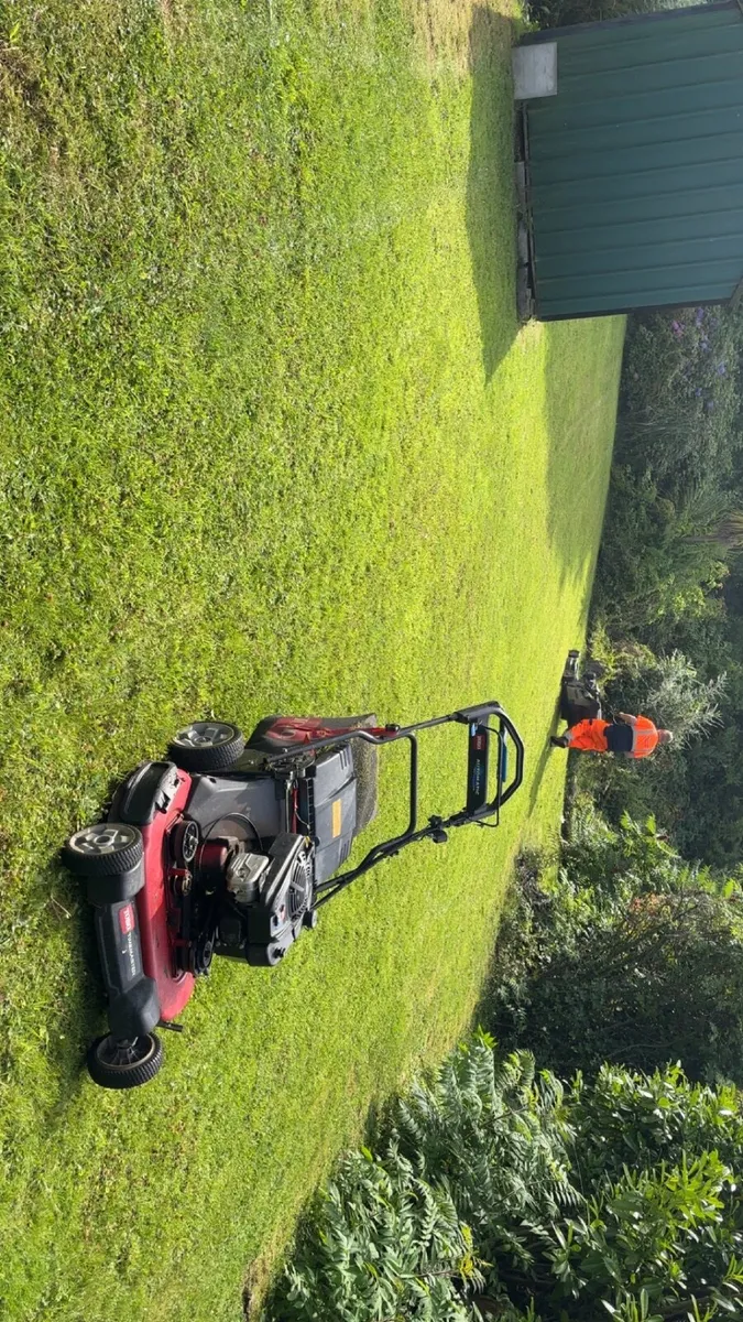 Lawnmower - Image 2