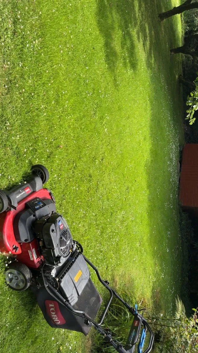 Lawnmower - Image 3