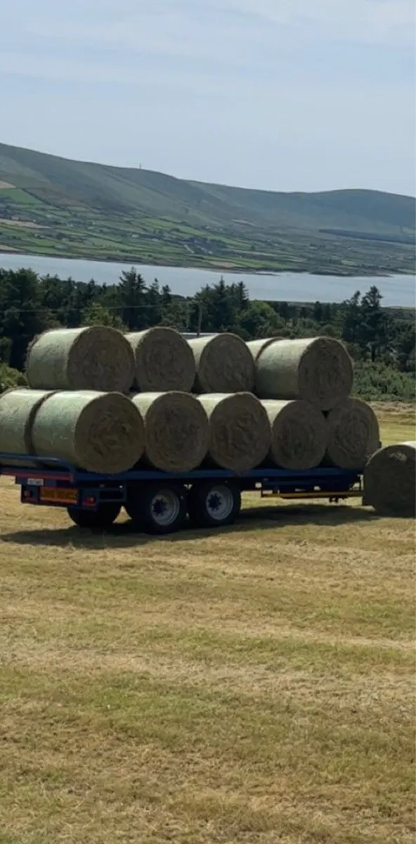 Square and round bales of hay for sale - Image 4