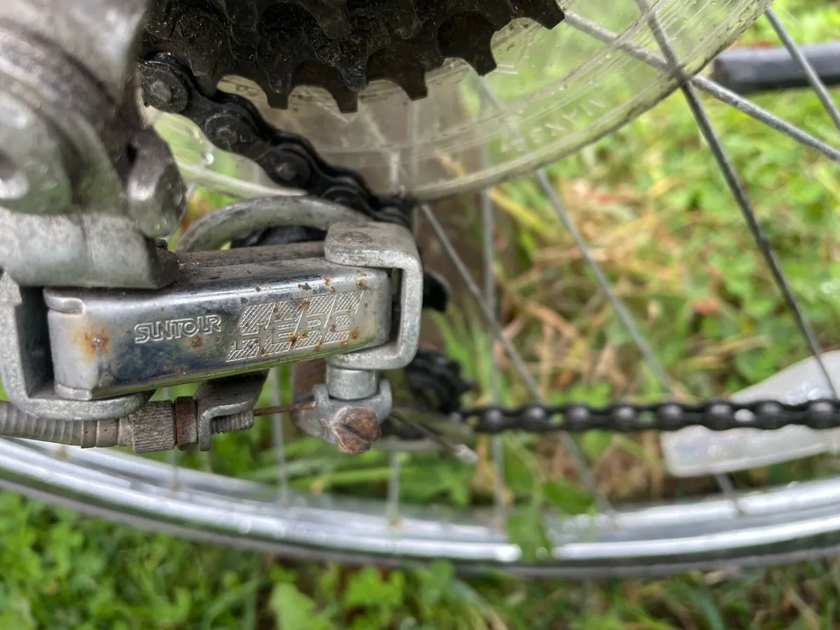 Raleigh Capri ( read advert ) - Image 3