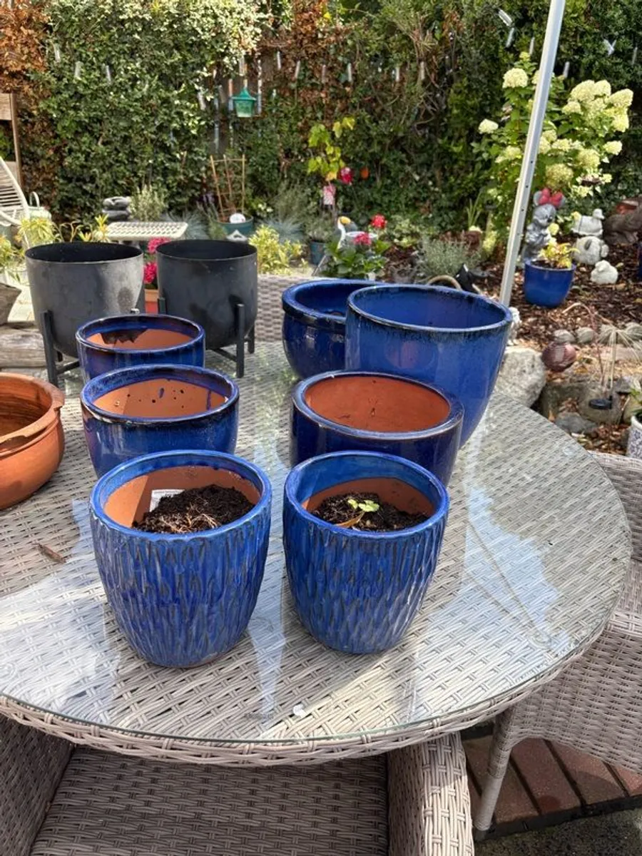 outdoor plants pots - Image 1