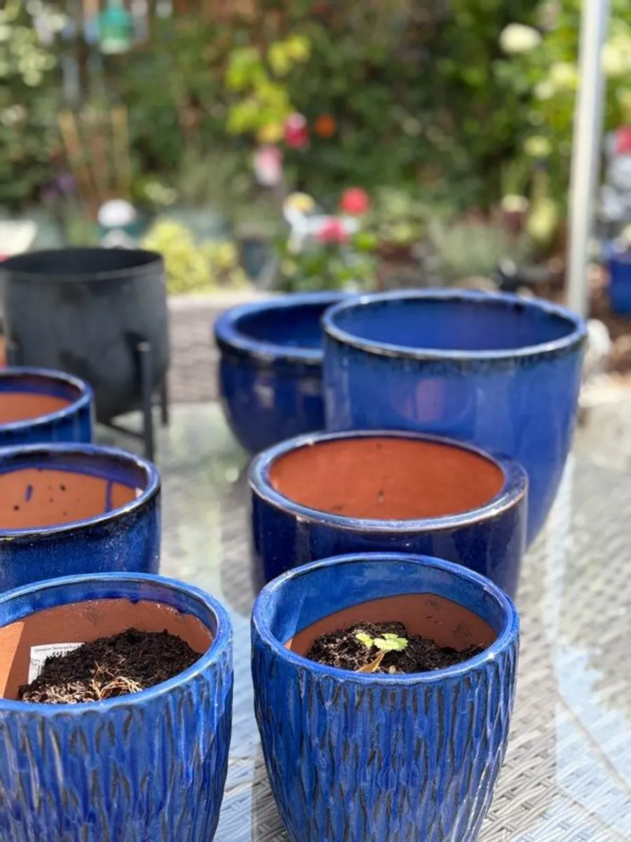 outdoor plants pots - Image 2