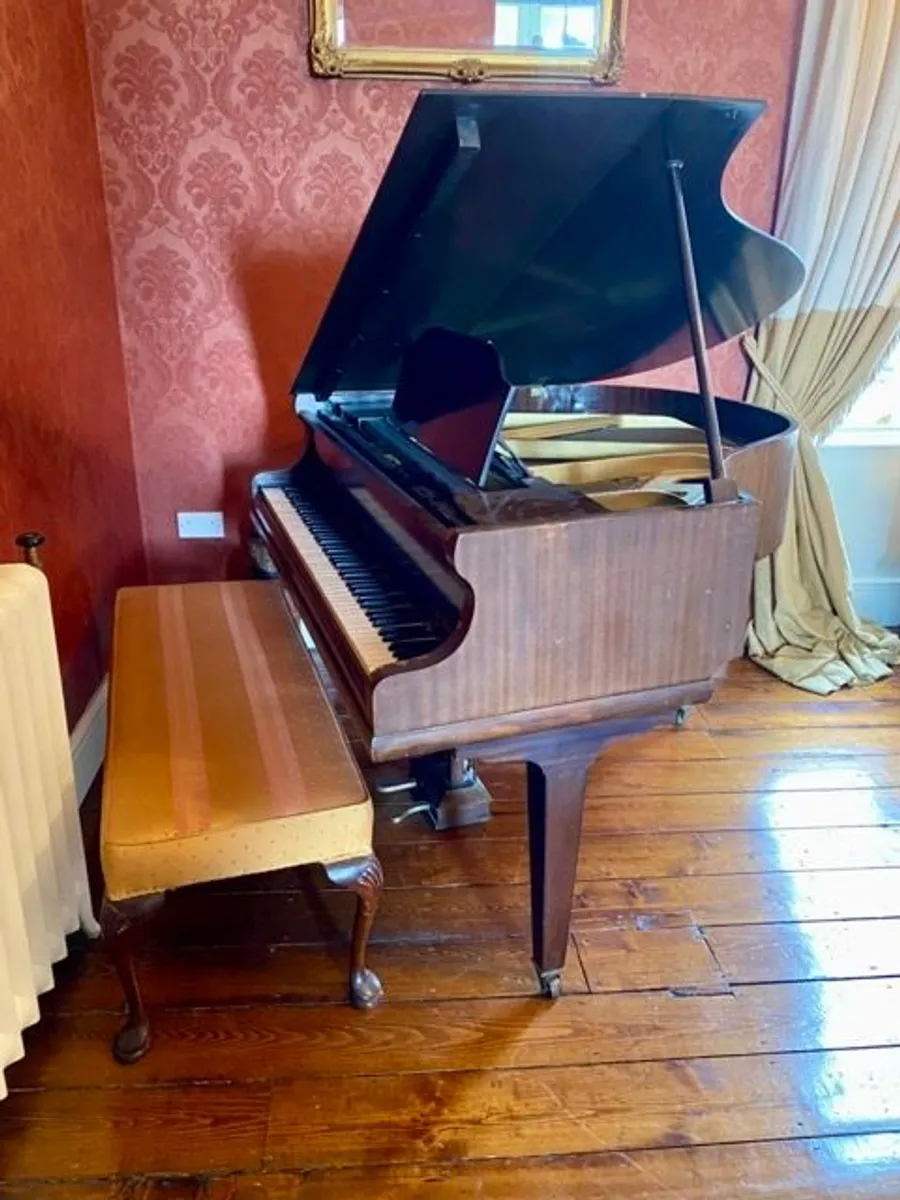STECK Baby Grand Piano - Image 1