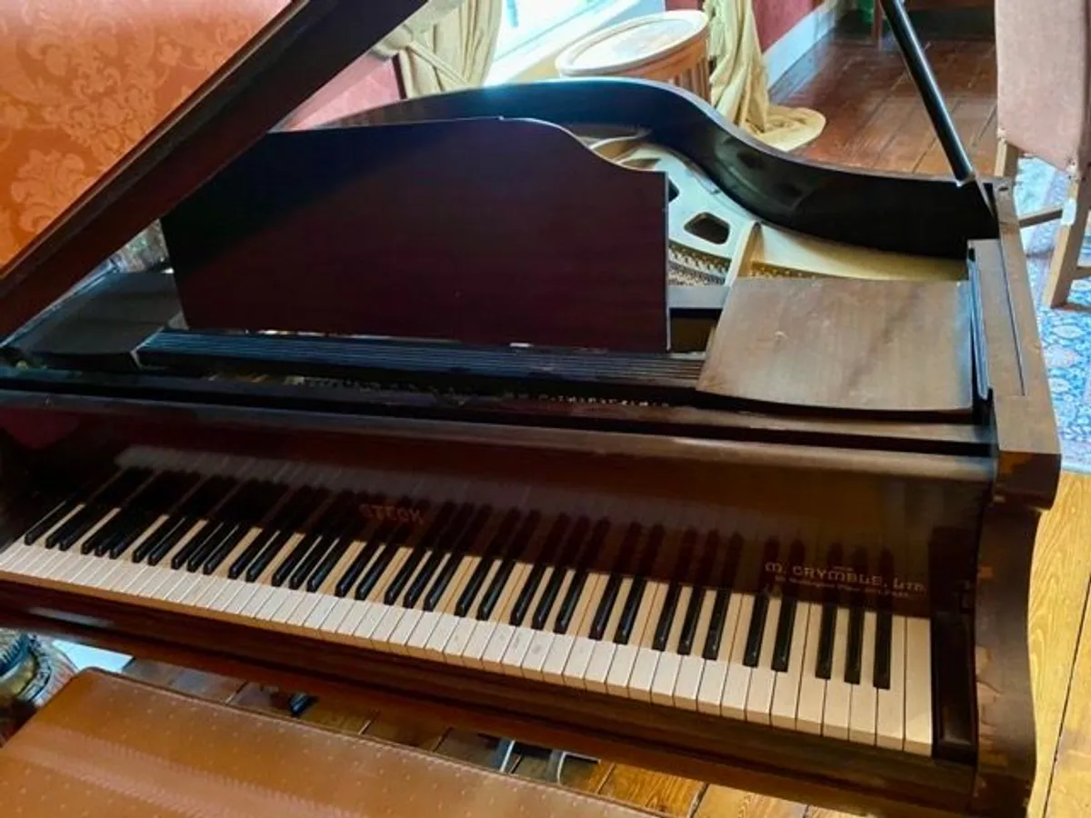 STECK Baby Grand Piano - Image 2