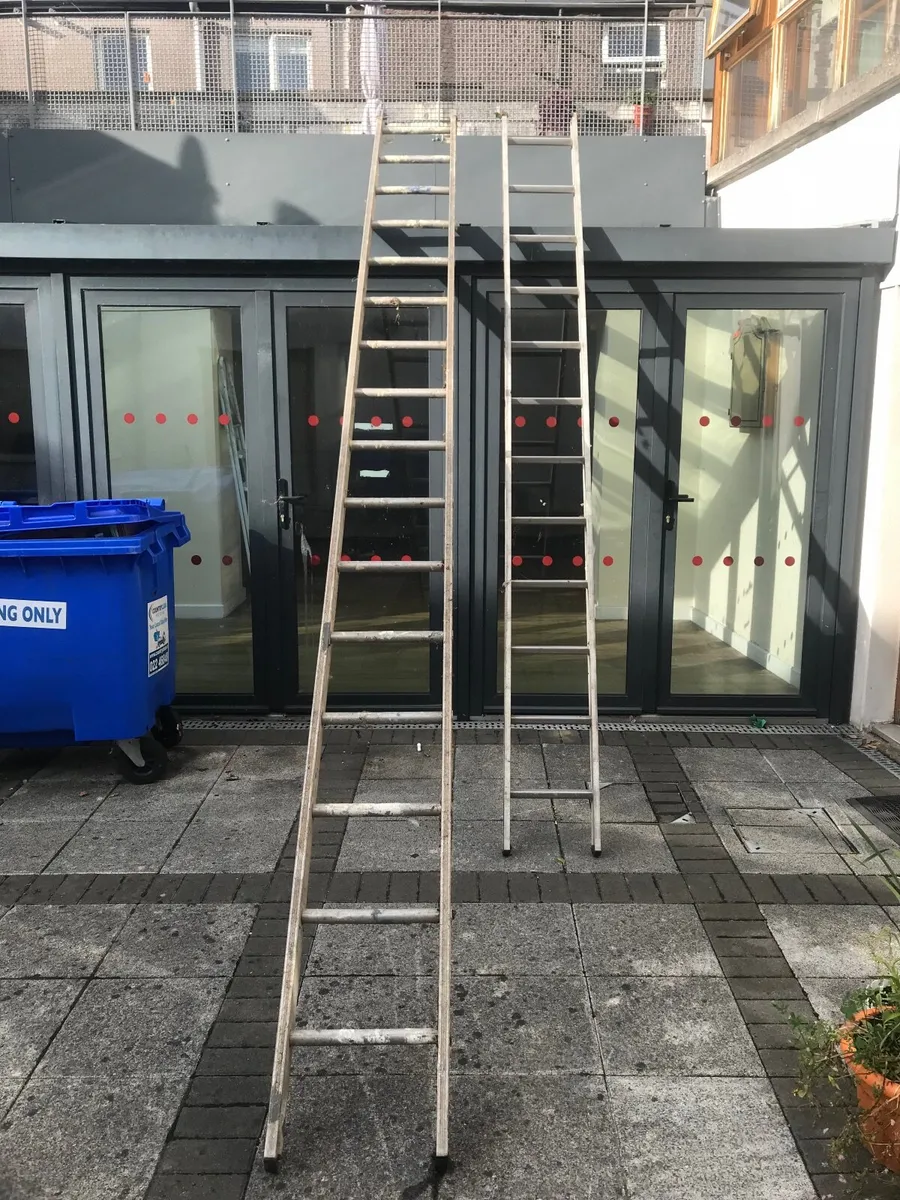 Shed 6x8 and Aluminium ladders - Image 2