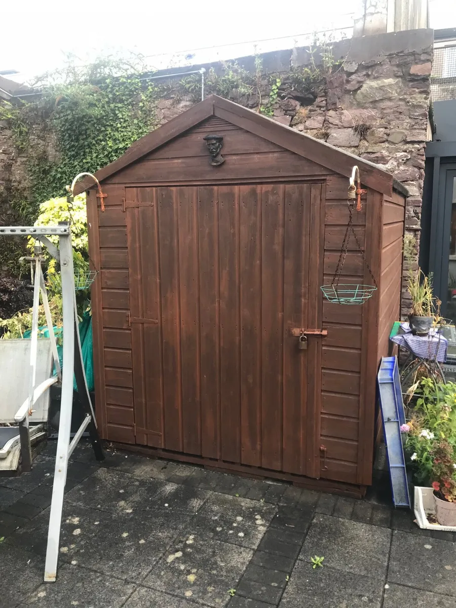 Shed 6x8 and Aluminium ladders - Image 3