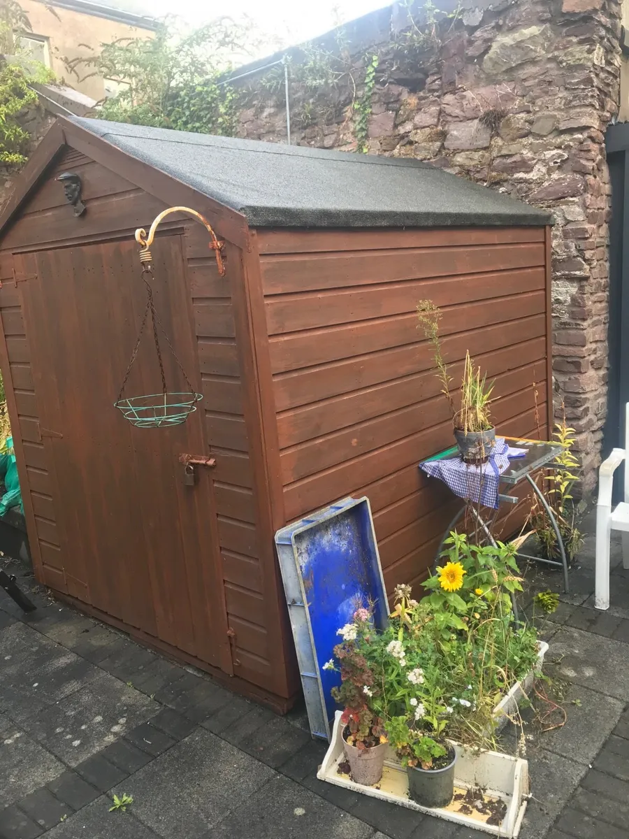 Shed 6x8 and Aluminium ladders - Image 1
