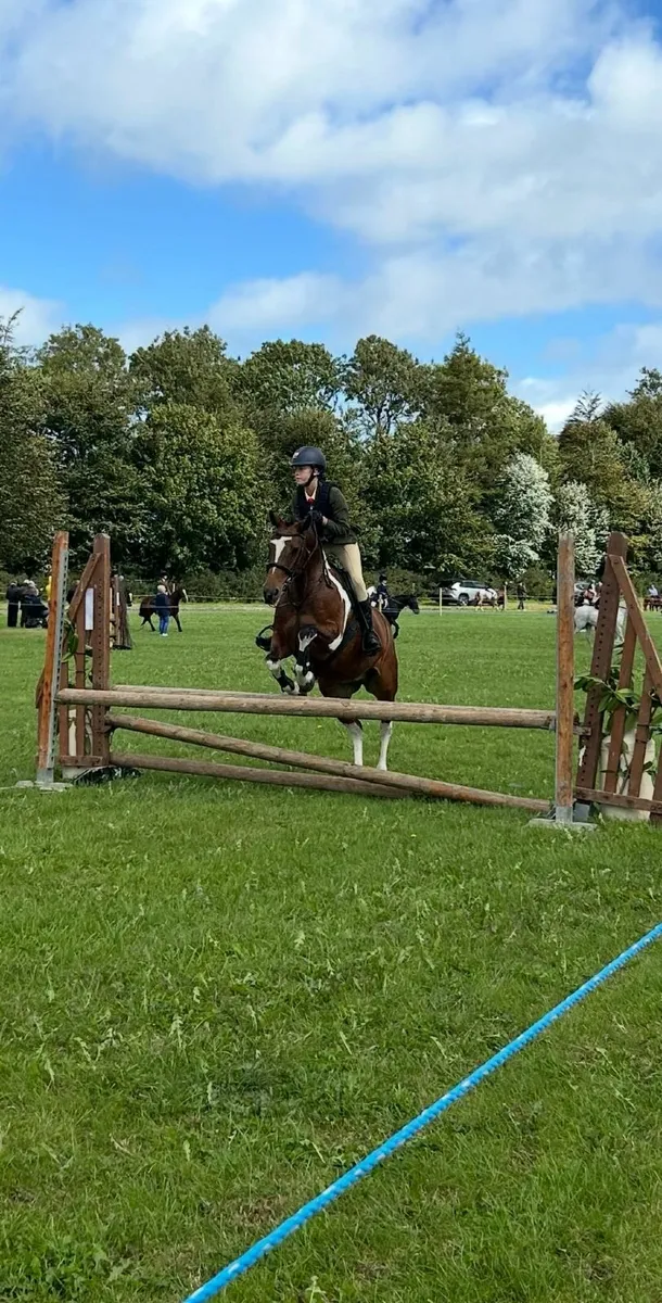 Horse livery