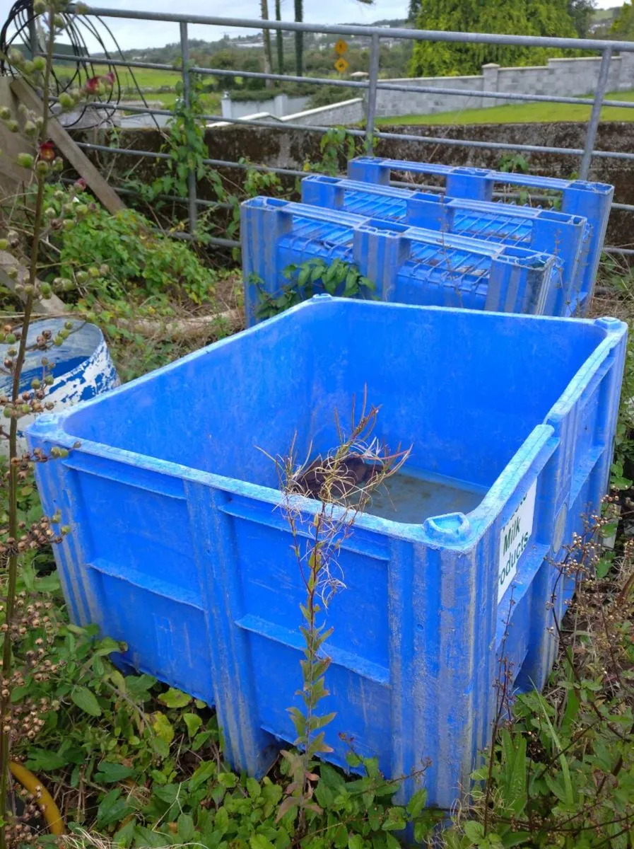 Plastic container