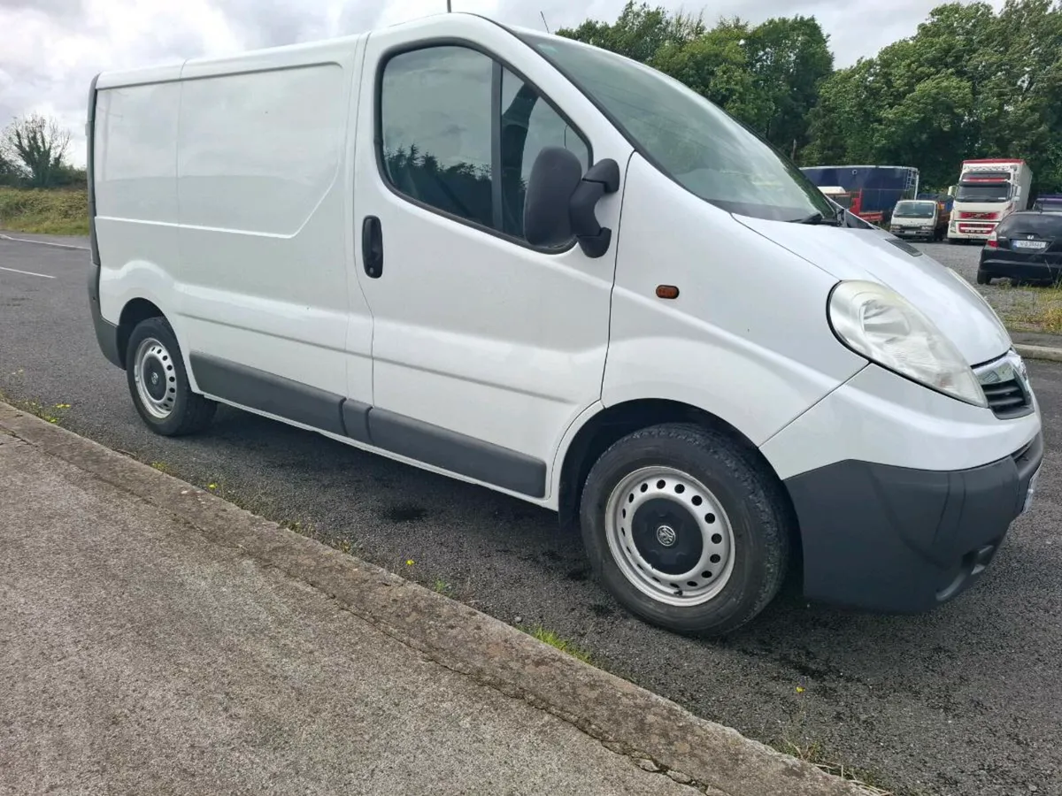 132 vivaro new doe - Image 2