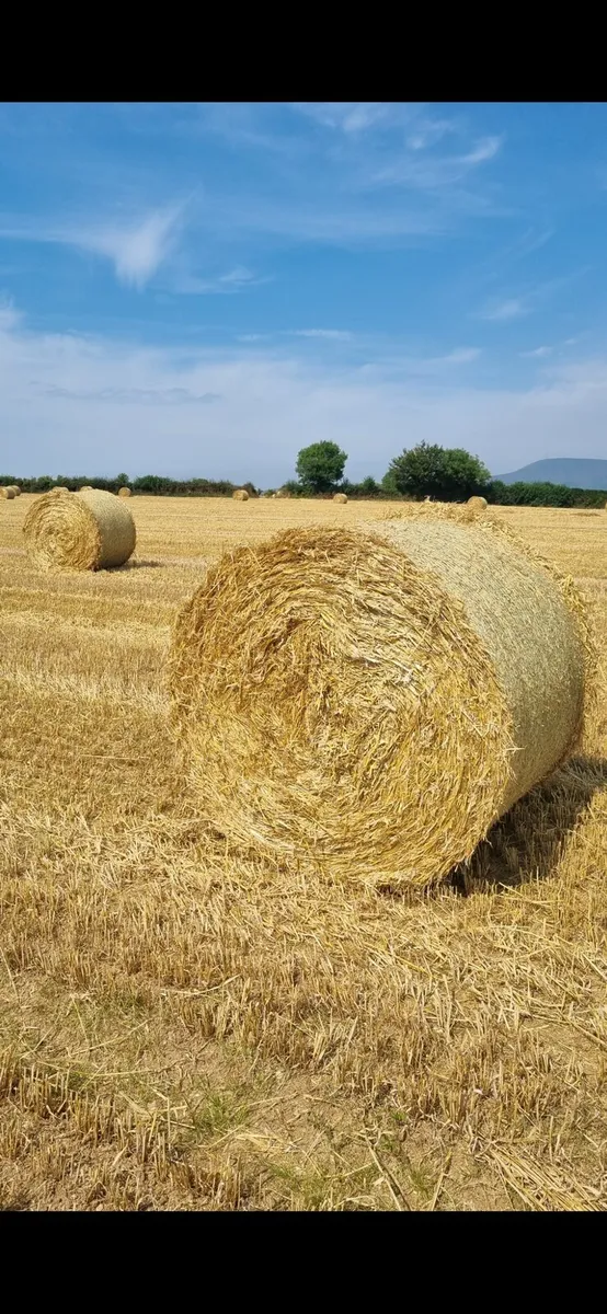 Straw