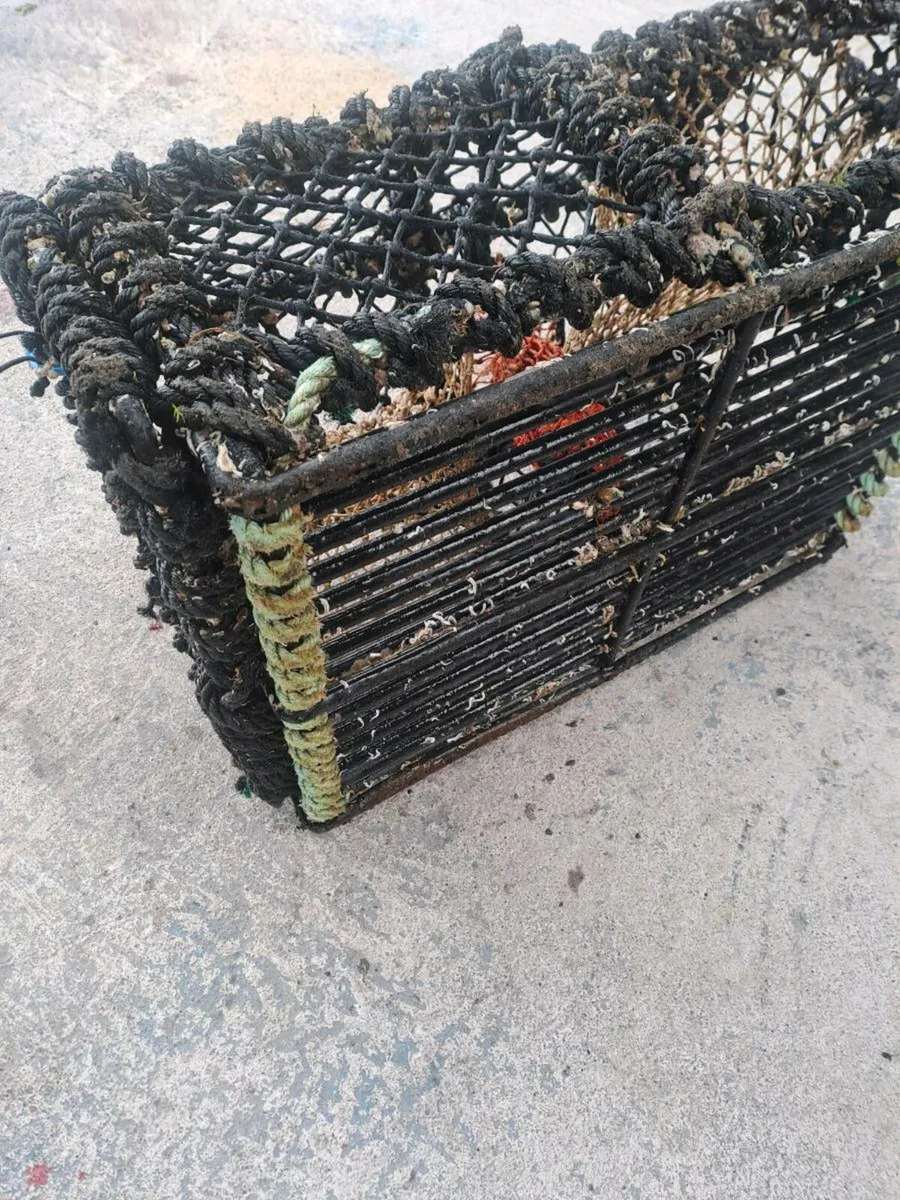 Lobster Pots - Image 2