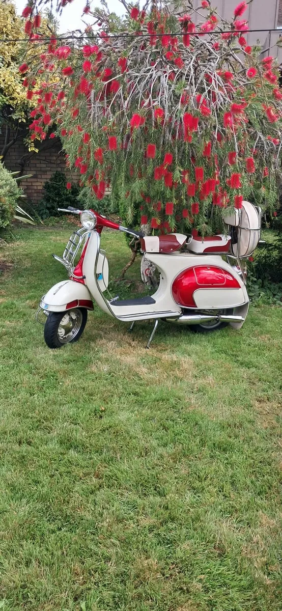 VESPA l1962 - Image 4