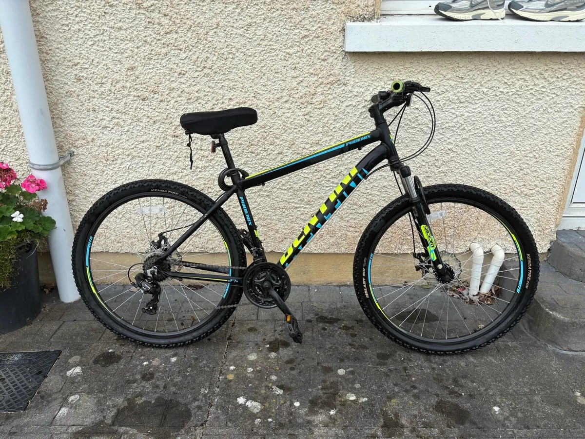 Mountain Bicycle - Image 1