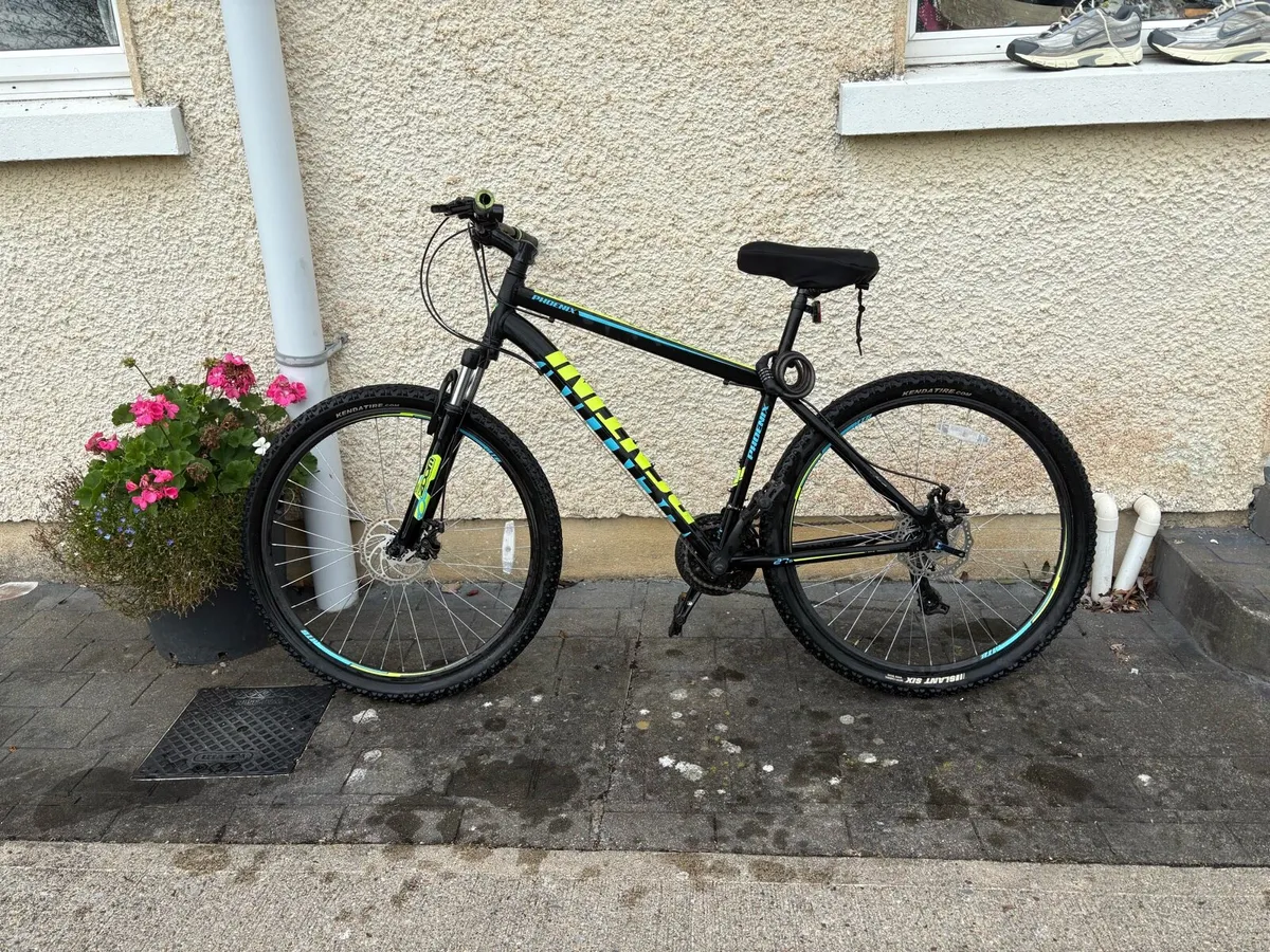 Mountain Bicycle - Image 2