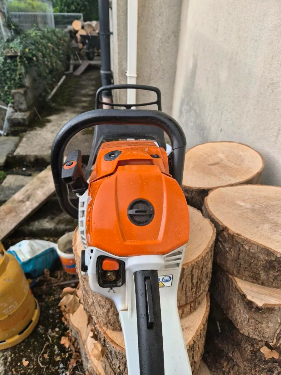 Chainsaw - Image 3