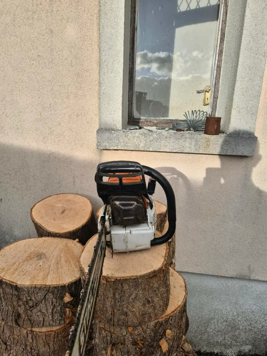 Chainsaw - Image 4