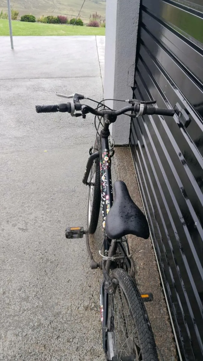 Adult and kids bike - Image 4