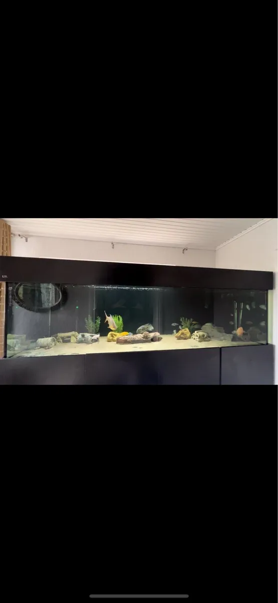 Nd aquatics fish tank - Image 1