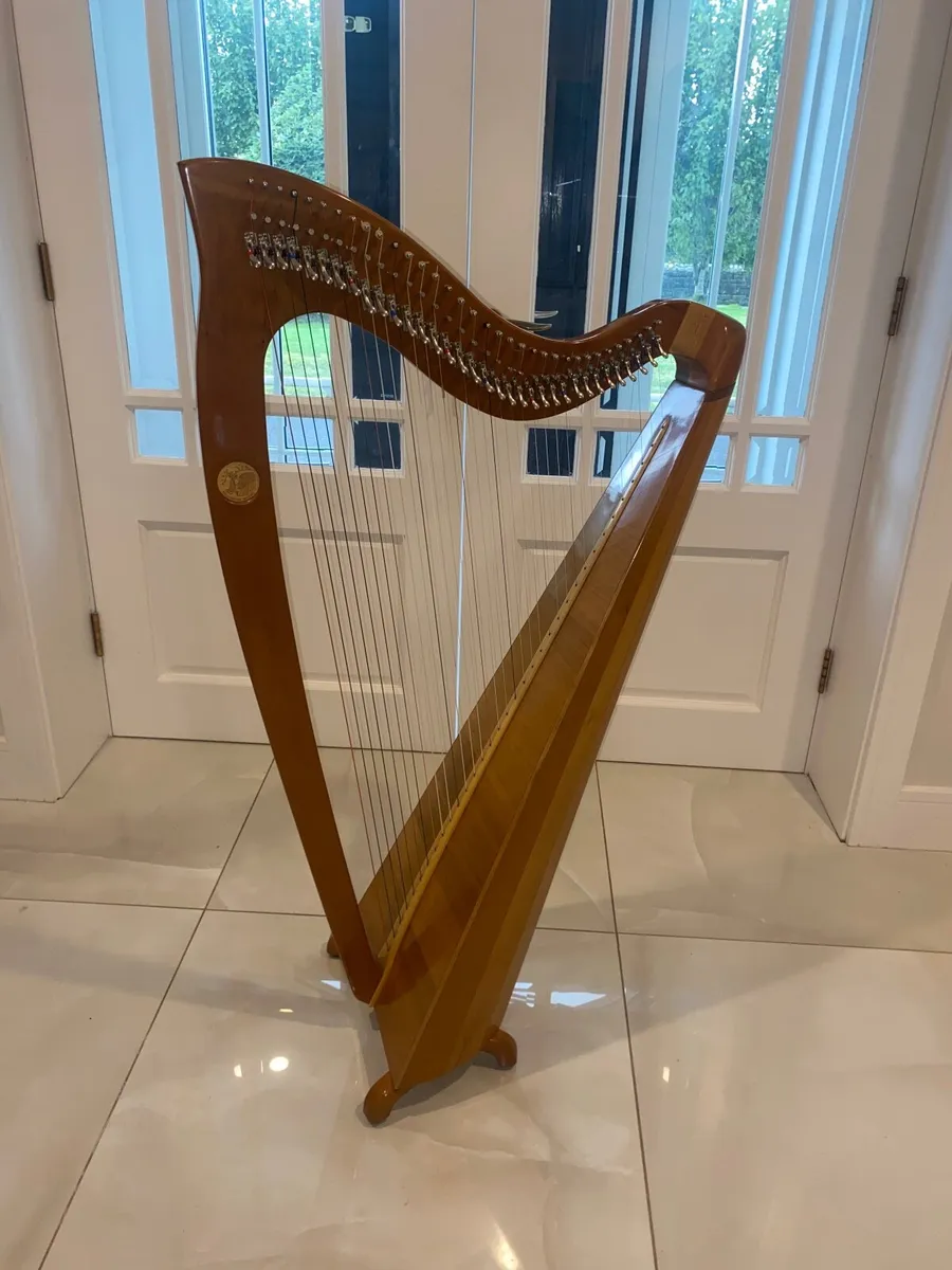 Killarney Harp - Image 1