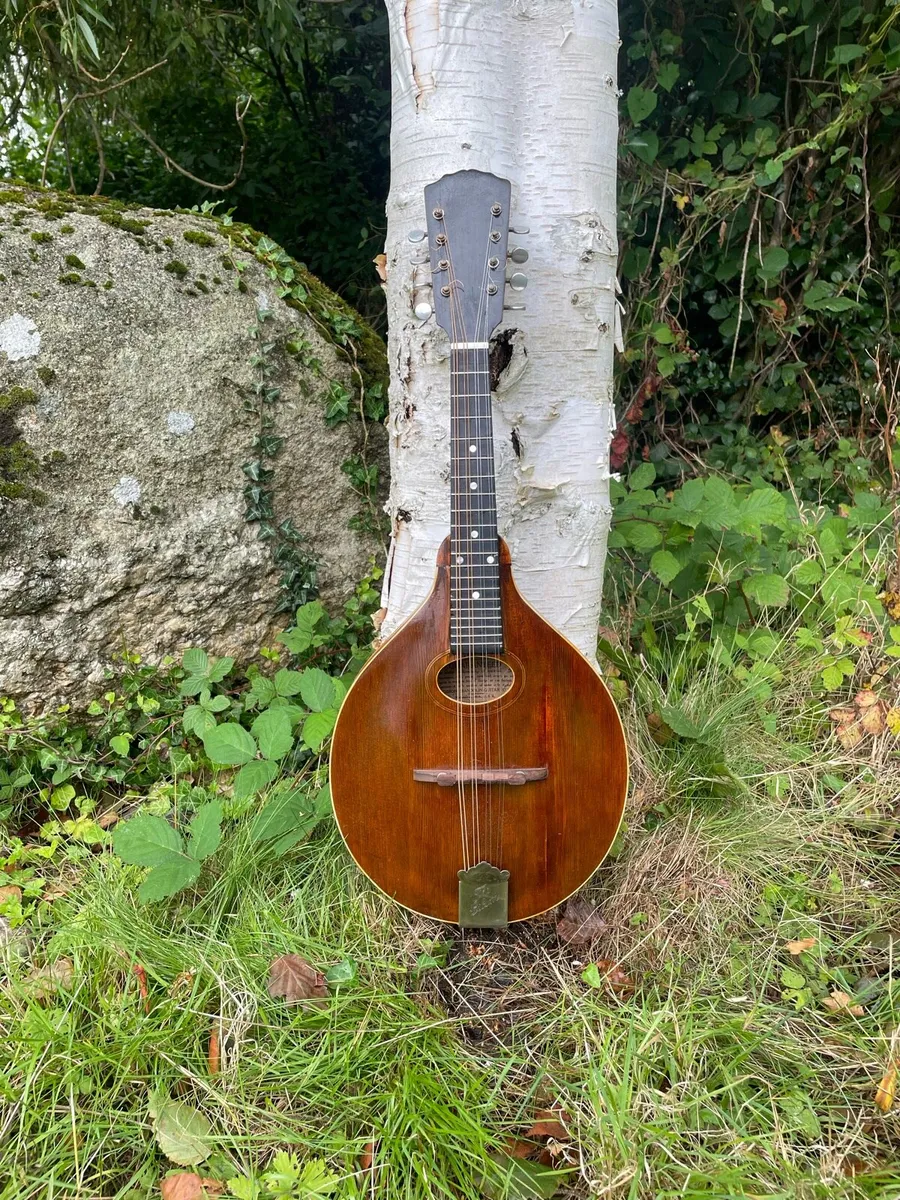 Gibson Mandolin - Image 1