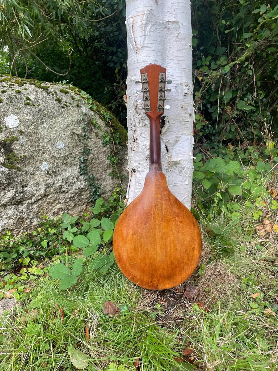 Gibson Mandolin - Image 2