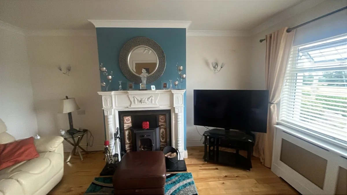 Boru  solid fuel stove with - Image 1