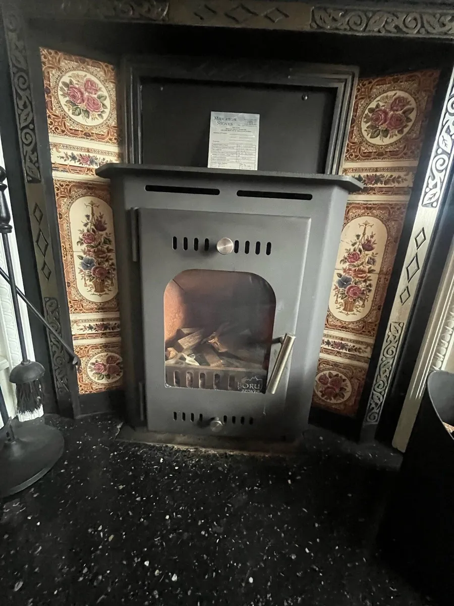 Boru  solid fuel stove with - Image 2