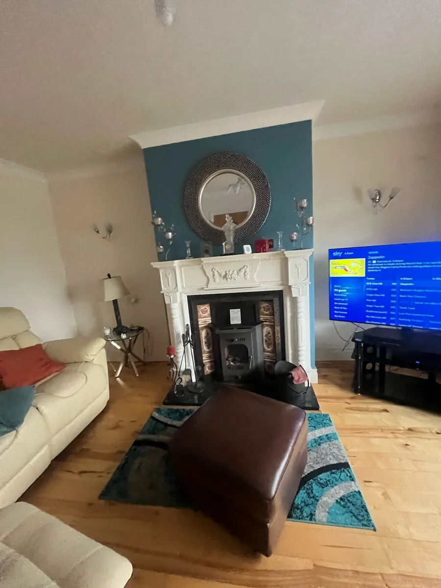 Boru  solid fuel stove with - Image 3