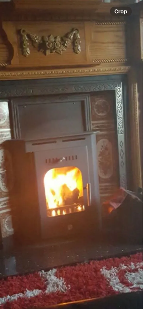 Boru  solid fuel stove with - Image 4