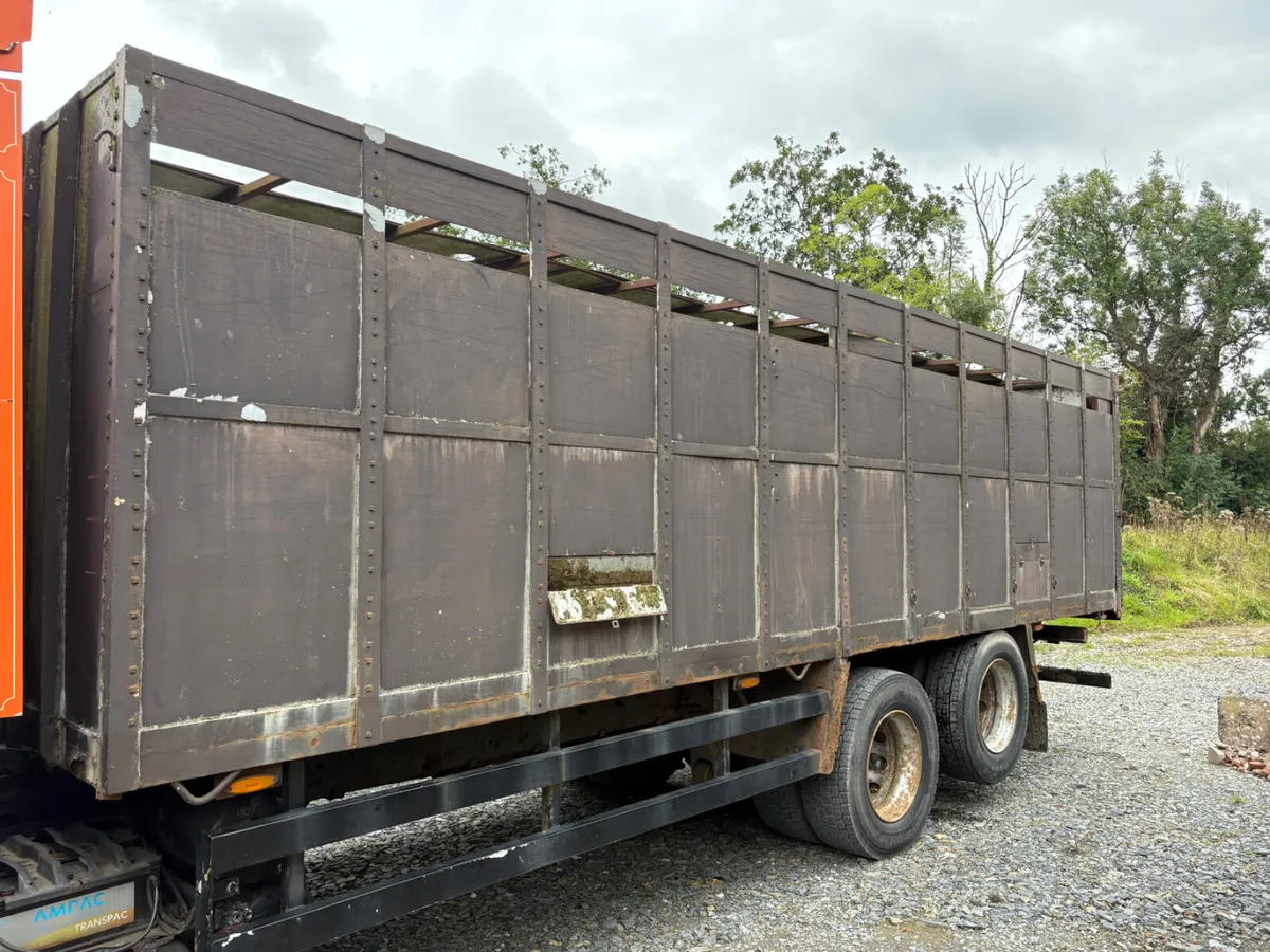 25Ft cattle body - Image 1