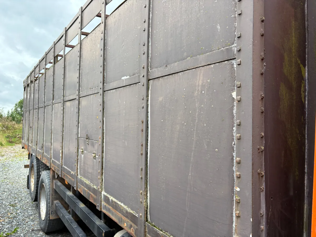 25Ft cattle body - Image 3