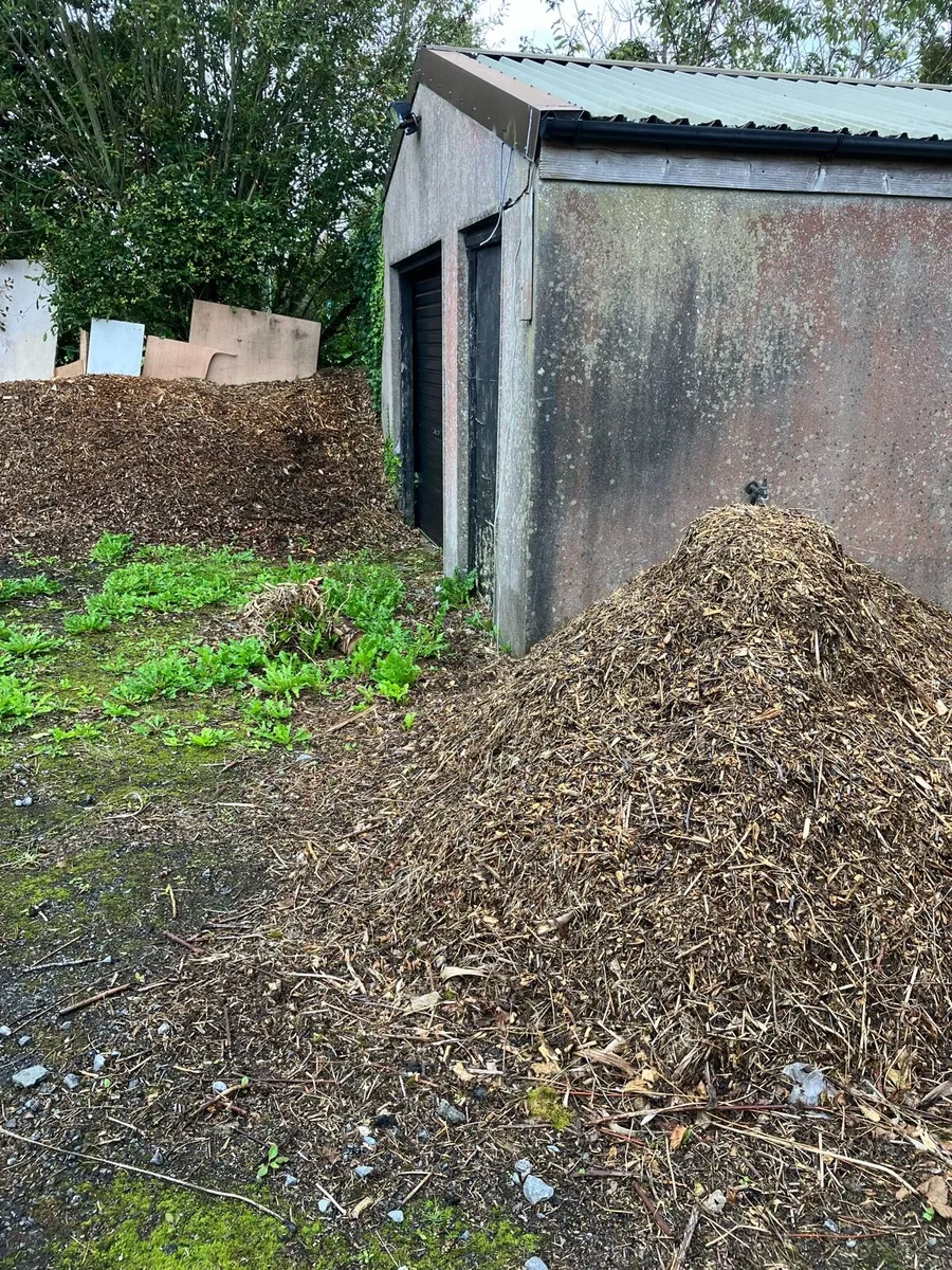 Wood chips - FREE - Image 1