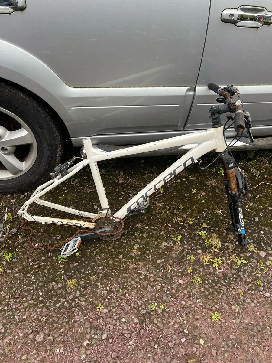 Bikes Shed  clear out - Image 2
