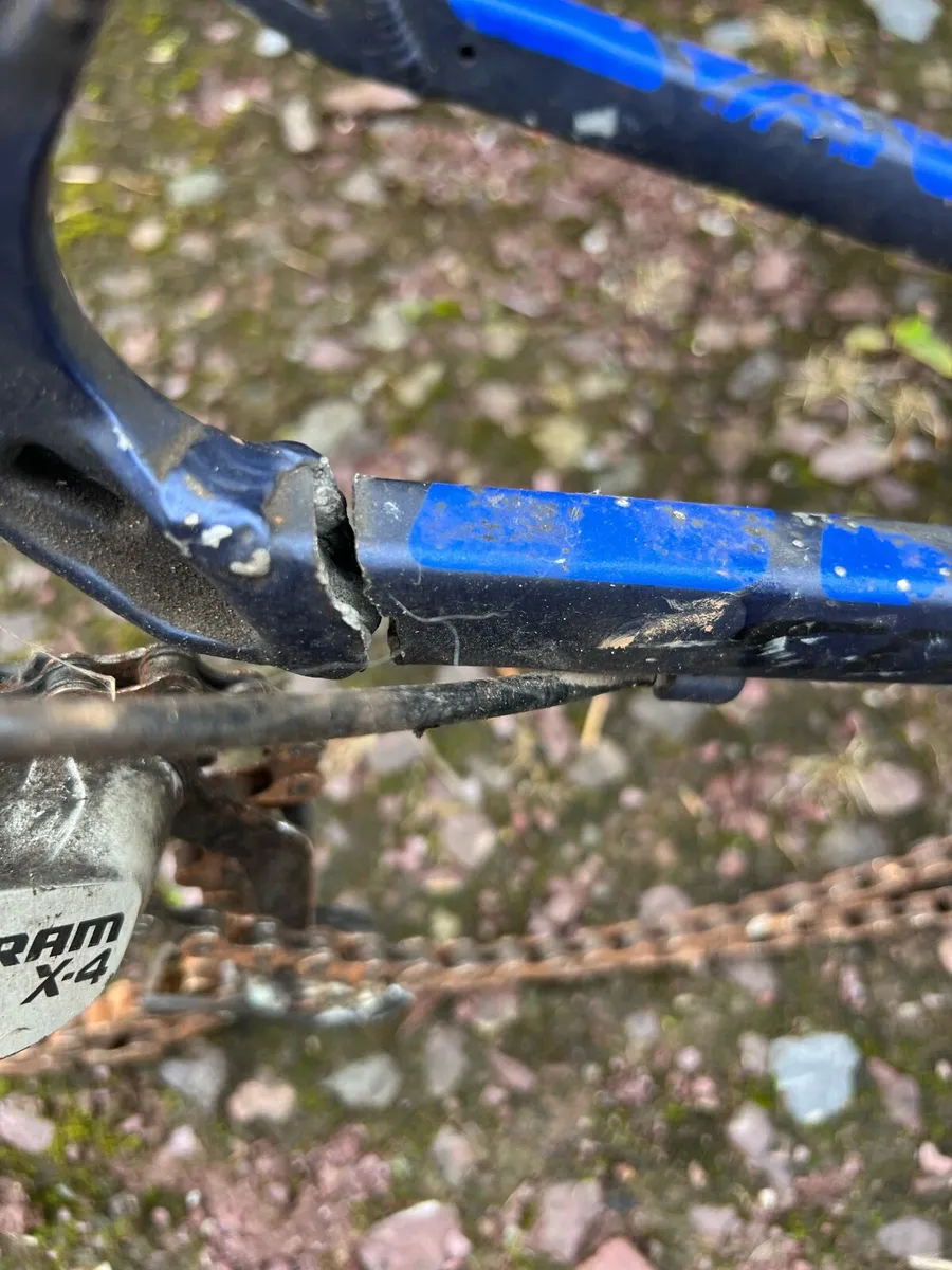 Bikes Shed  clear out - Image 4