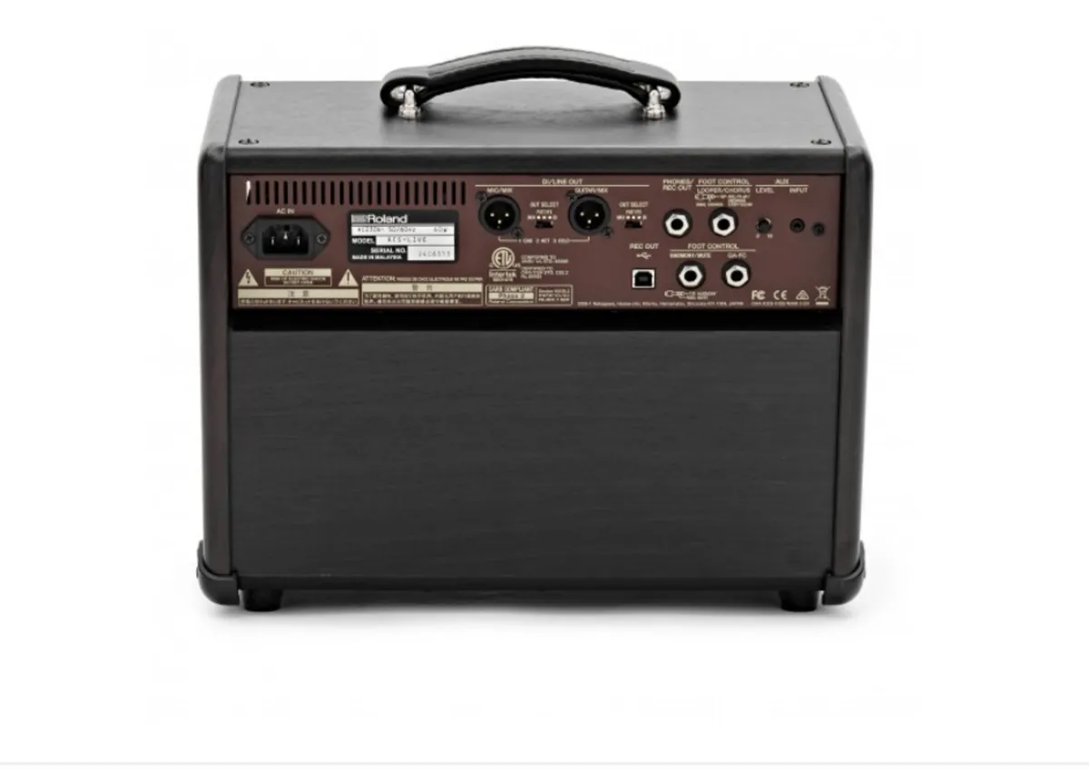 Acoustic guitar Amplifier - Image 3