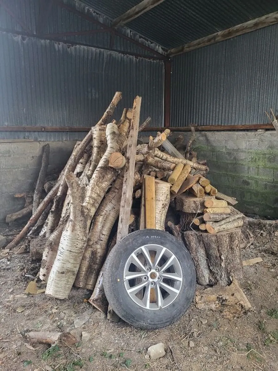 Firewood - Image 3