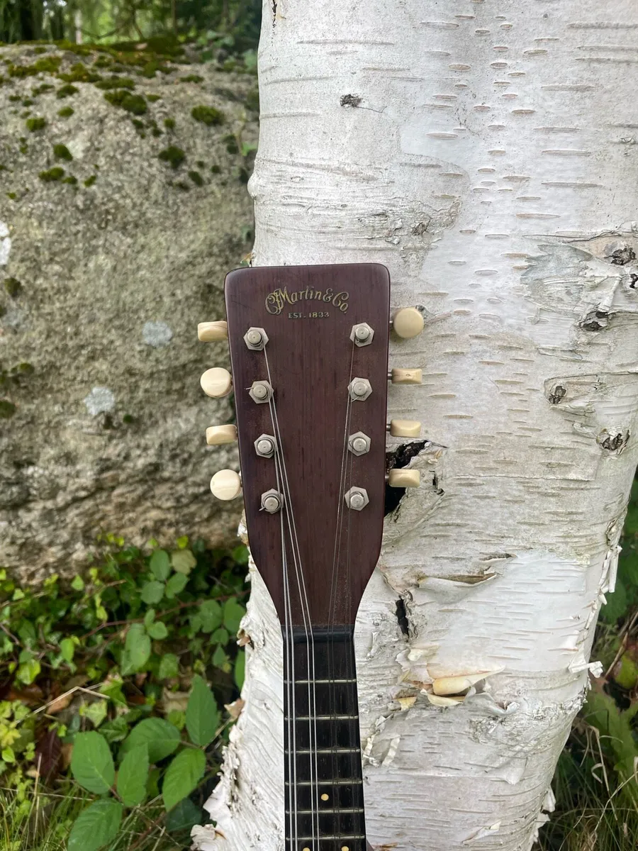 Martin Style A Mandolin - Image 3