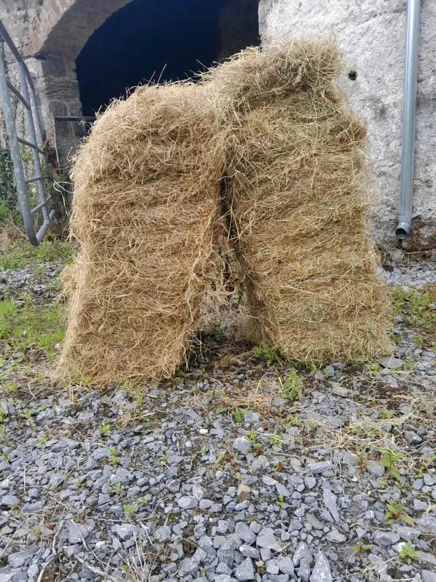 Hay