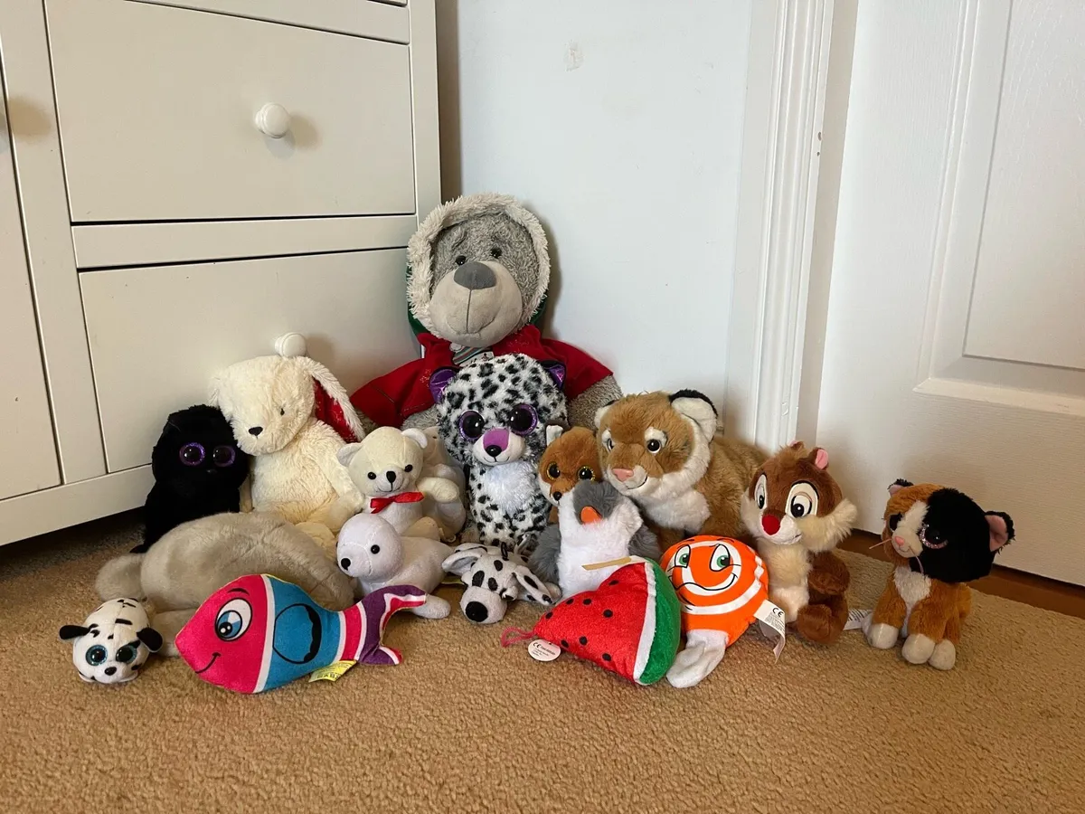 Teddy selection free