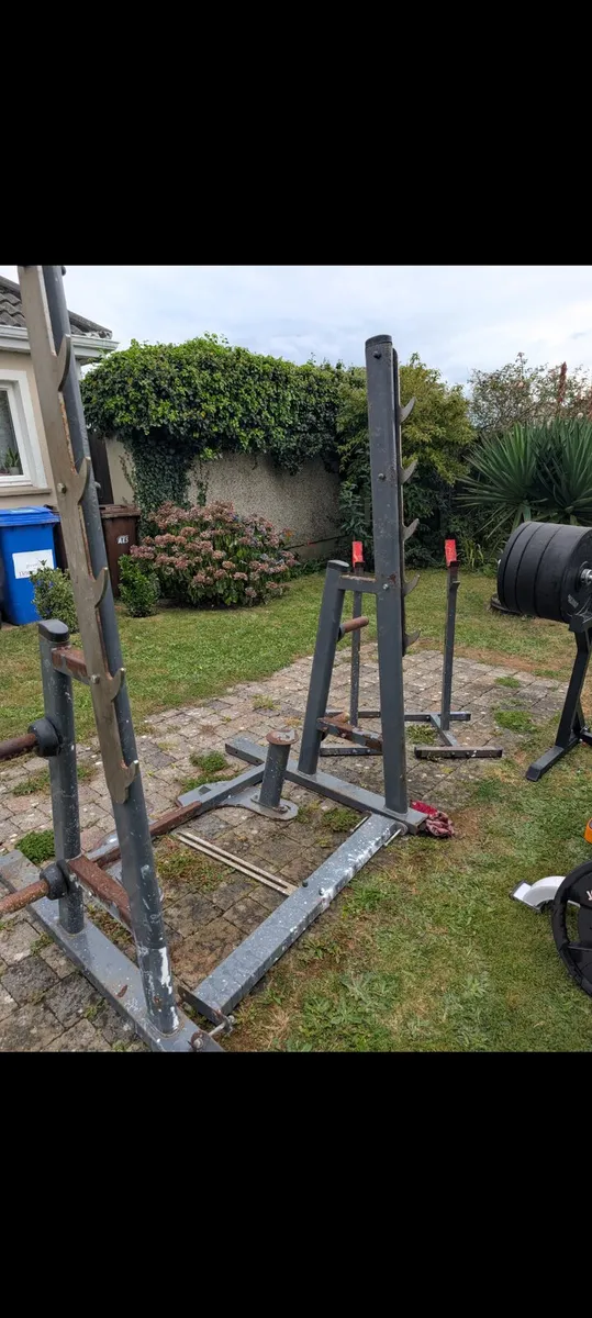 Must go tonight.weights,bench & free squat racks - Image 4