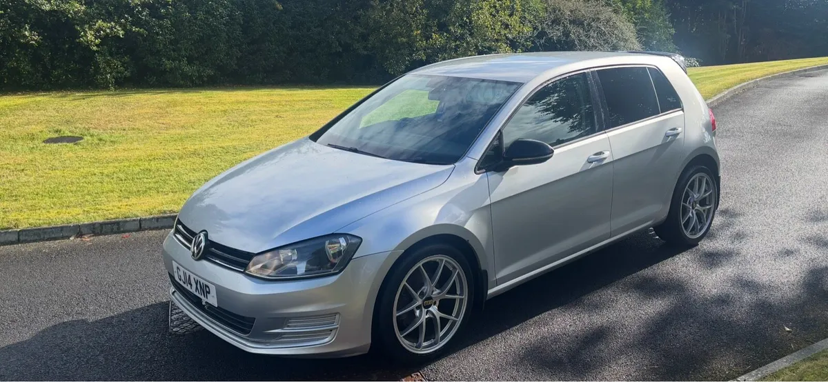2014 VW GOLF 1.6 TDI BLUE MOTION - Image 2