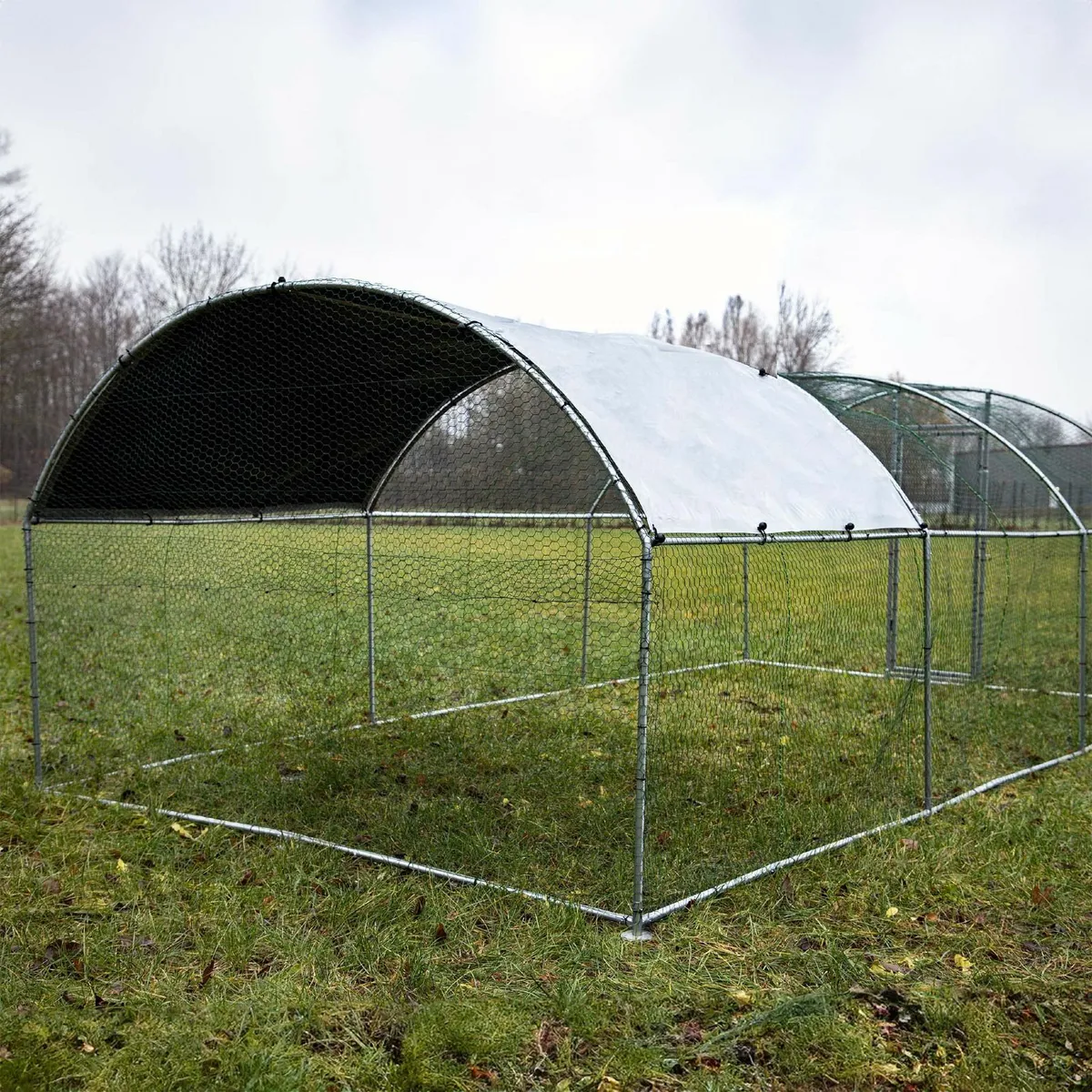 Enclosure for Pets 6x2.95x2m - Image 4