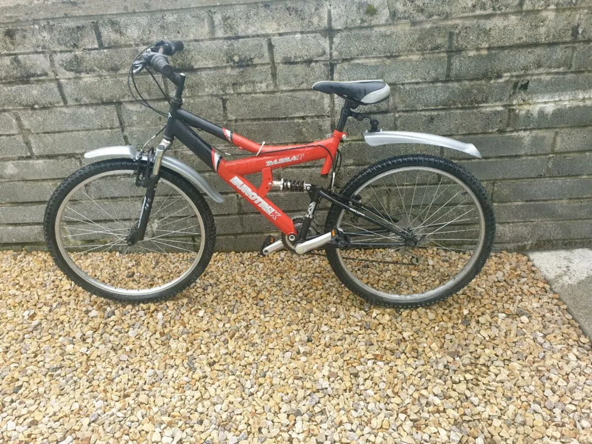 ADULTS BIKE - Image 1