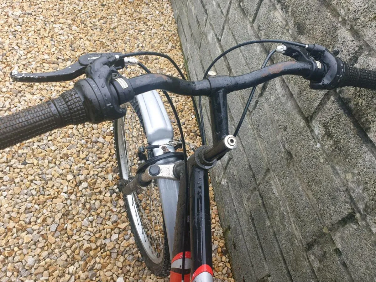 ADULTS BIKE - Image 2