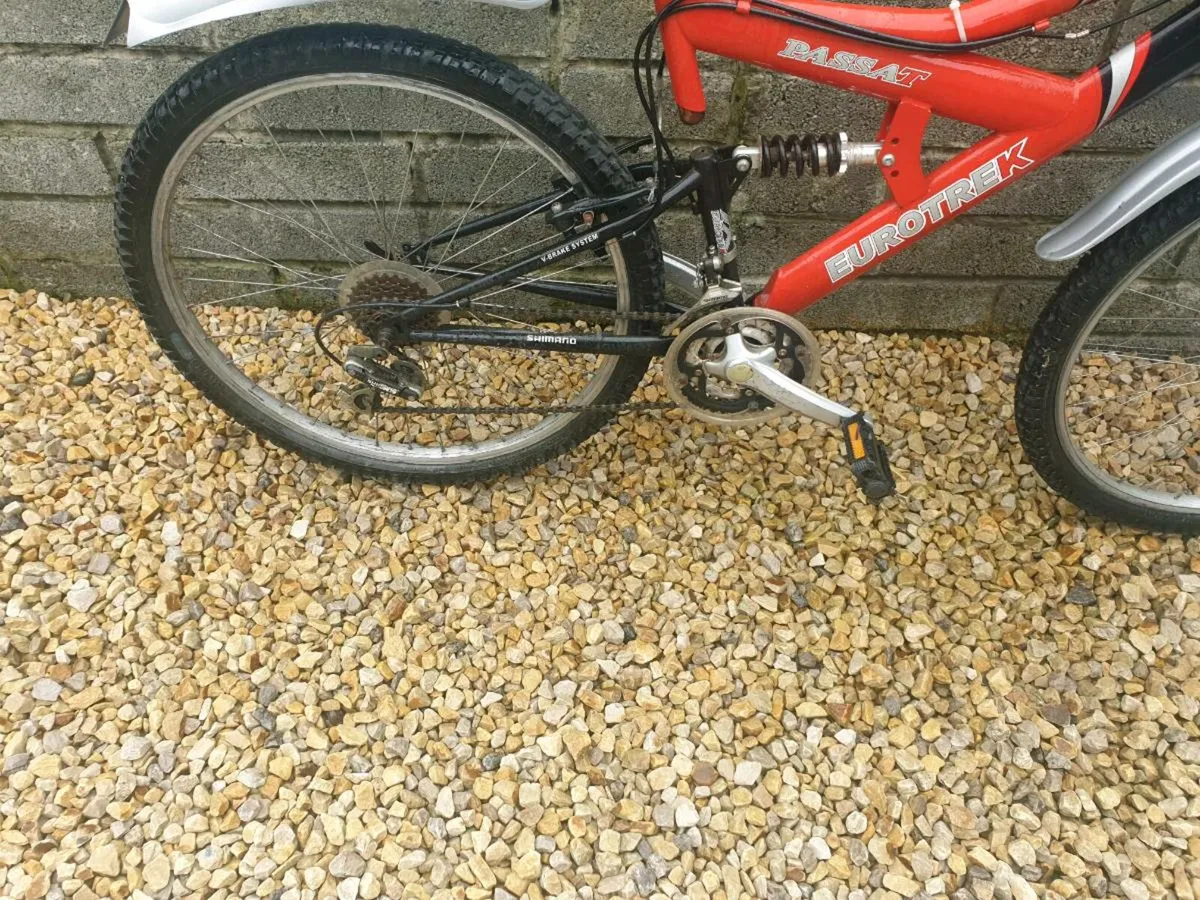 ADULTS BIKE - Image 3