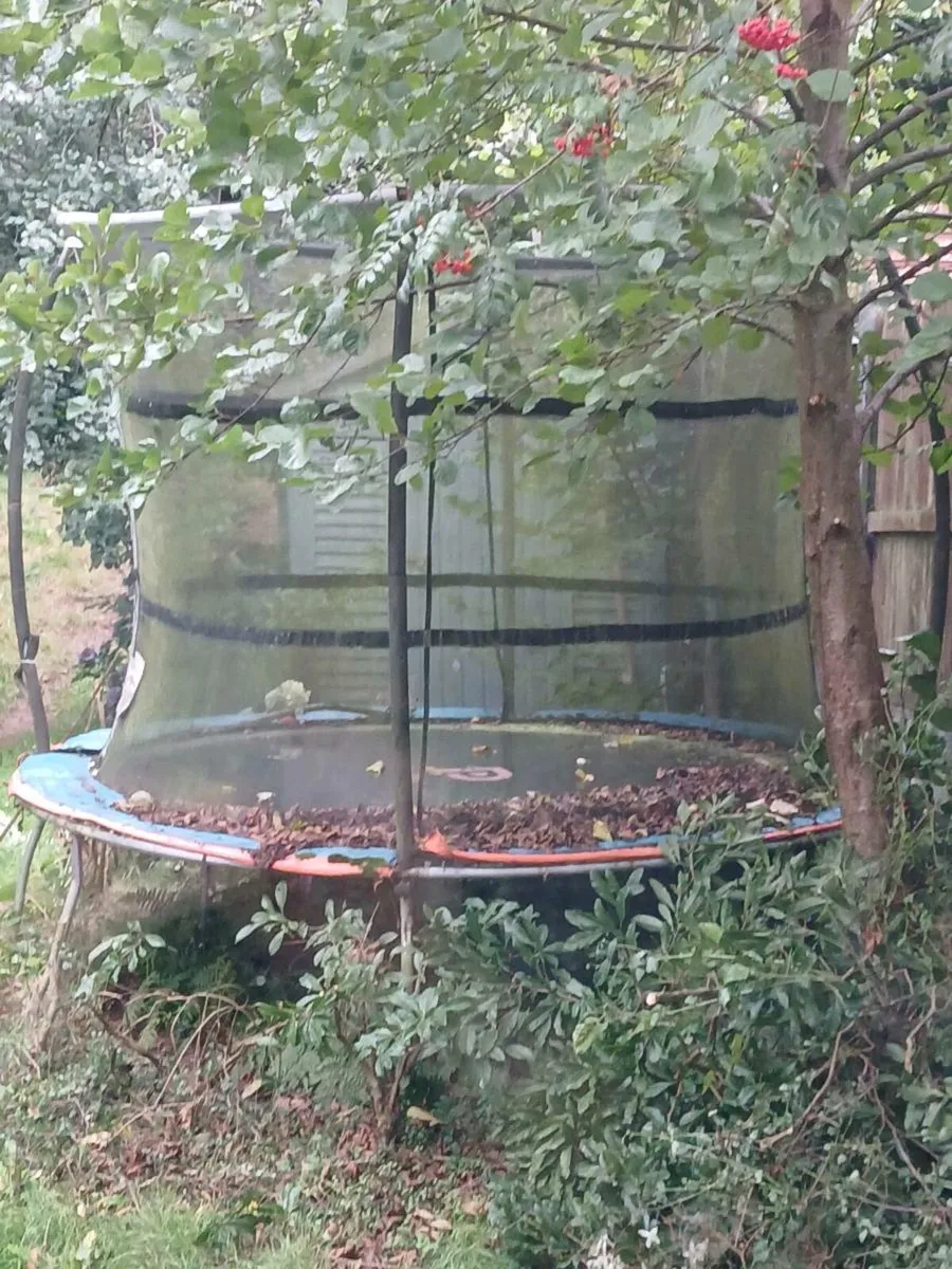 Trampoline
